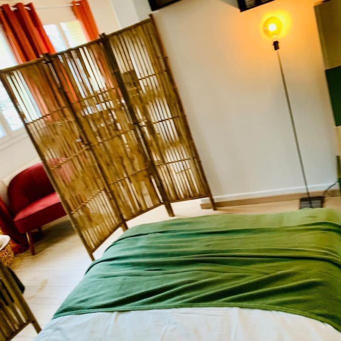 Ile Verte Entre Chu & Vieille Ville Grenoble Ngoại thất bức ảnh