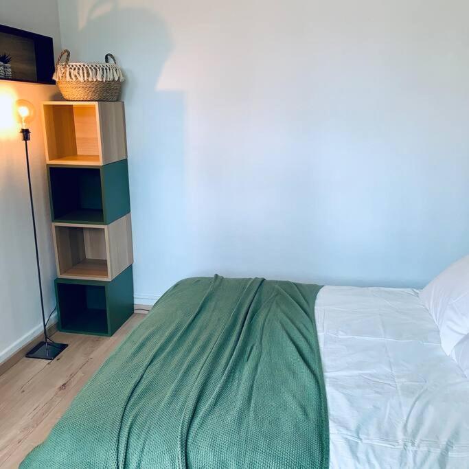 Ile Verte Entre Chu & Vieille Ville Grenoble Ngoại thất bức ảnh